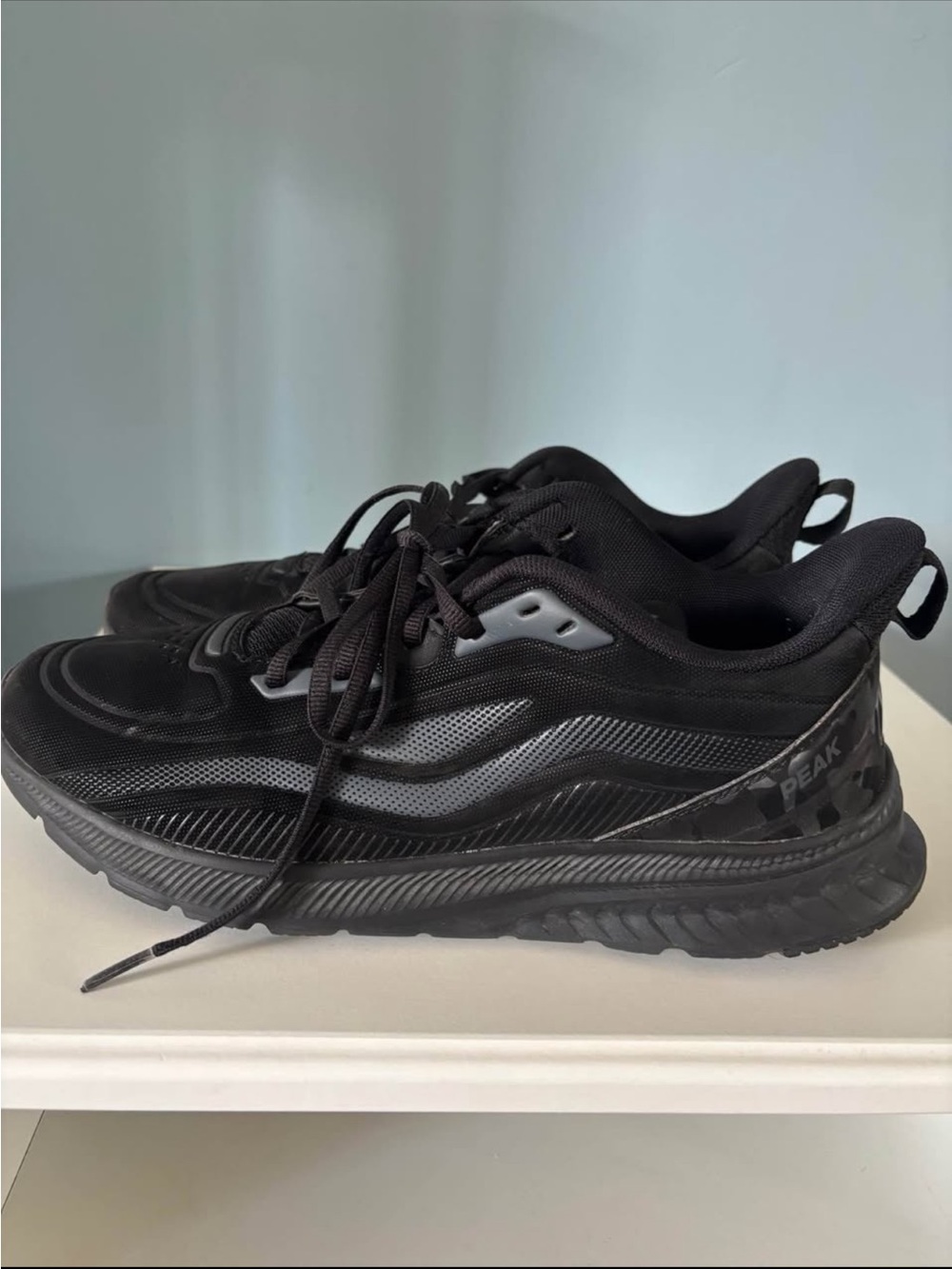 Peak Sport TaiChi series. Size 43